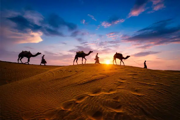 Services Banner