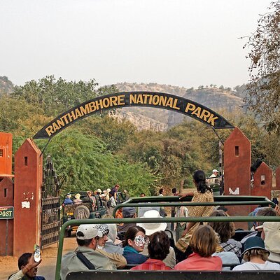 Ranthambore N.P. Taxi Tour Jaipur